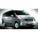 Mercedes Viano